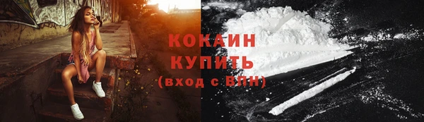 сатива Новокубанск