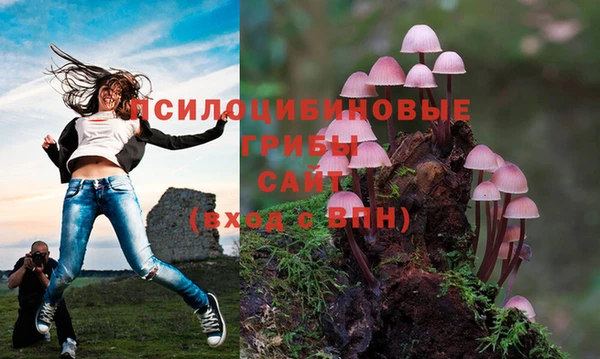 гидропоника Новодвинск