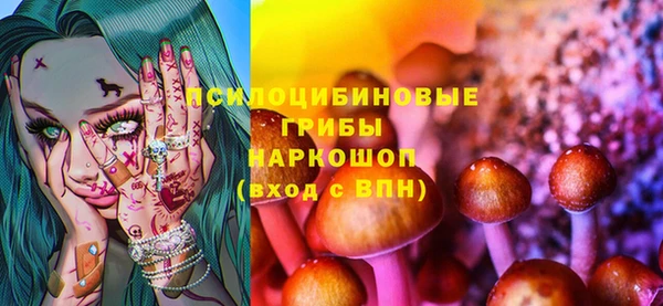 сатива Новокубанск