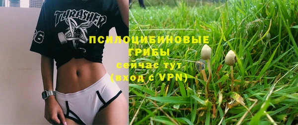 кокаин Новозыбков