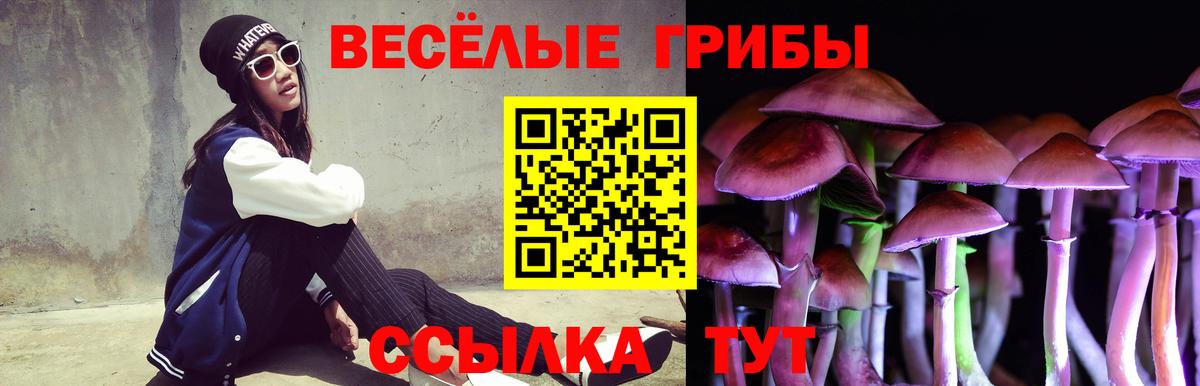 Севастополь  Псилоцибиновые грибы Psilocybine cubensis  Вход с VPN 